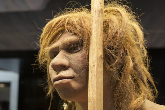 HPV, Modern İnsanın Neandertal ve Denisovalılarla Melezlenmesinden Geliyor