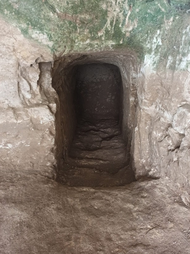 Samsat'ta definecilerin talan ettiği 1900 yıllık kaya mezarı bulundu