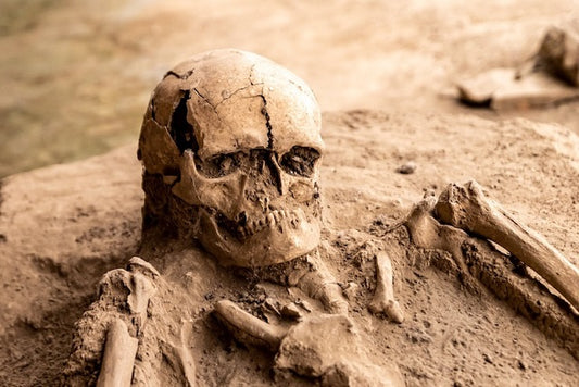 İnsan İskeleti Kalıntılarının Kullanımında Etiğin Rolü