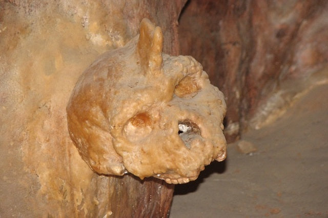 Bu İnsan Türü, Yunanistan’da Neandertal Zamanında Yaşamış