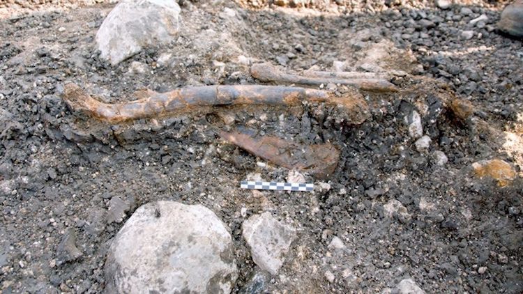 Modern İnsan Levant’a Gelmeden Önce Neandertaller Doğaya Uyumlu Yaşıyordu