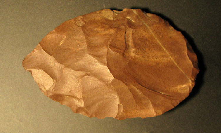 Çek Cumhuriyeti’nde Neandertal – Homo Sapiens Geçişine Dair İzler Bulundu