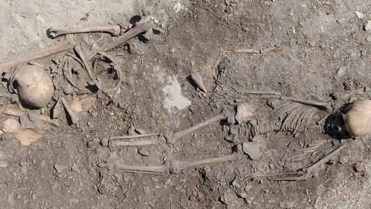 Akrabalıktan Öte: DNA, İsveç'in Gotland Bölgesinde 5.500 Yıllık Taş Devri Klanlarını Ortaya Çıkardı