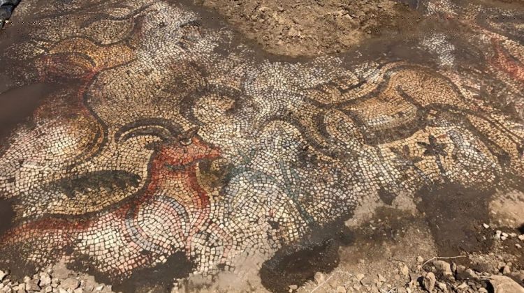 Adıyaman’da Tarla Çalışması Sırasında 1600 Yıllık Mozaik Bulundu