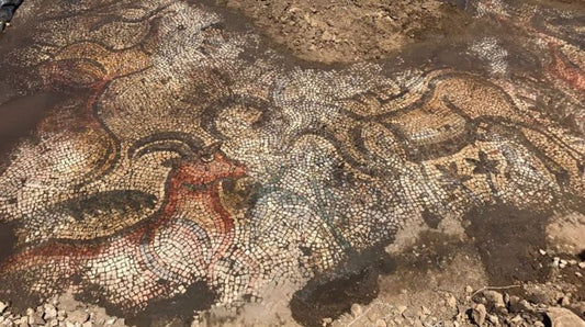Adıyaman’da Tarla Çalışması Sırasında 1600 Yıllık Mozaik Bulundu