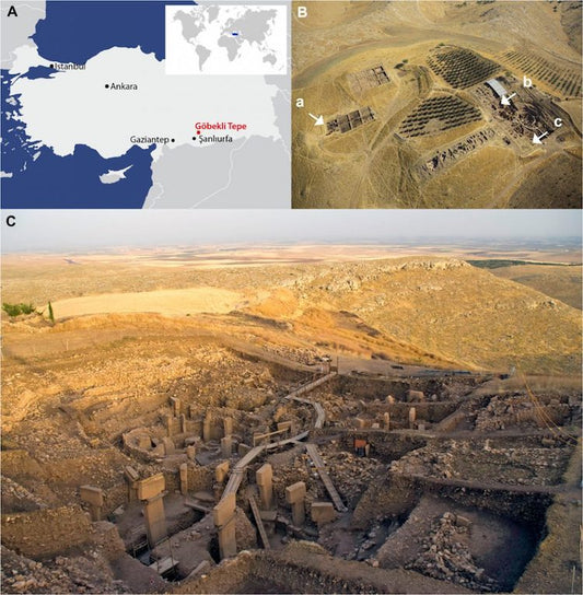 Göbekli Tepe’de Kafatası Kültüne Dair Yeni Kanıtlar Bulundu