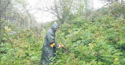 Çin Seddi benzeri yapı keşfedildi
