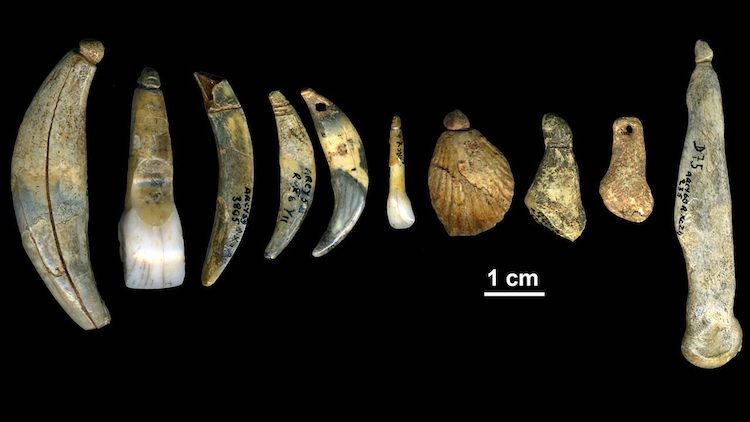 Neandertallerin Kendi Takılarını Yaptıkları Tasdiklendi