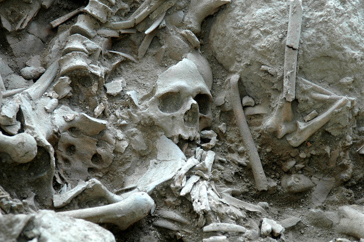 Gökçeada’daki 7000 Yıllık Çukurda 13 İnsan İskeleti Bulundu
