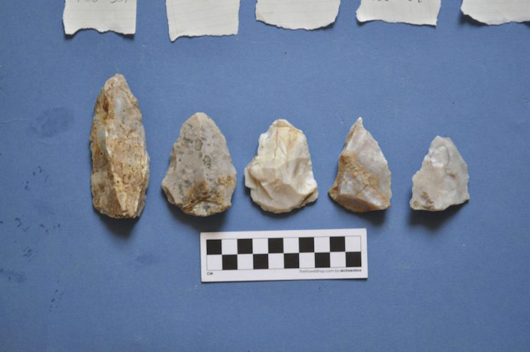 Neandertaller Deniz Seyahati Yaparak Ege Adalarına Ulaşmış Olabilir