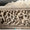 Perge’de Bulunan Attika Tipi Dionysiak Lahit