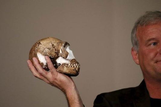 Gizemli İnsan Türü Homo naledi Küçük Ama Gelişmiş Bir Beyne Sahipti