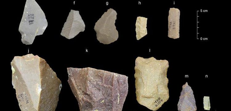 Homo Sapiens Afrika'dan sanılandan erken çıkmış olabilir