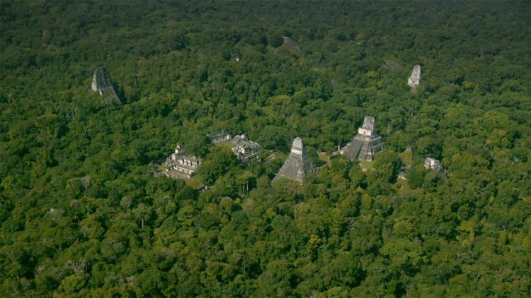 Guatemala Ormanının Altında Maya ‘Megalopolis’i Ortaya Çıktı
