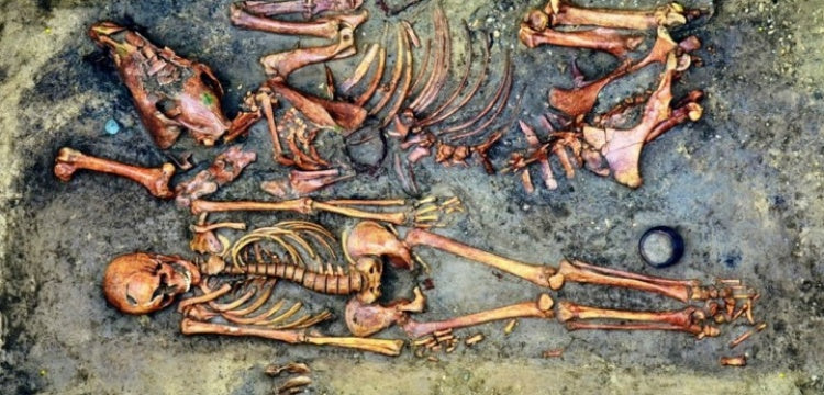 Slovakya'da 8. yüzyıl Avar mezarları bulundu