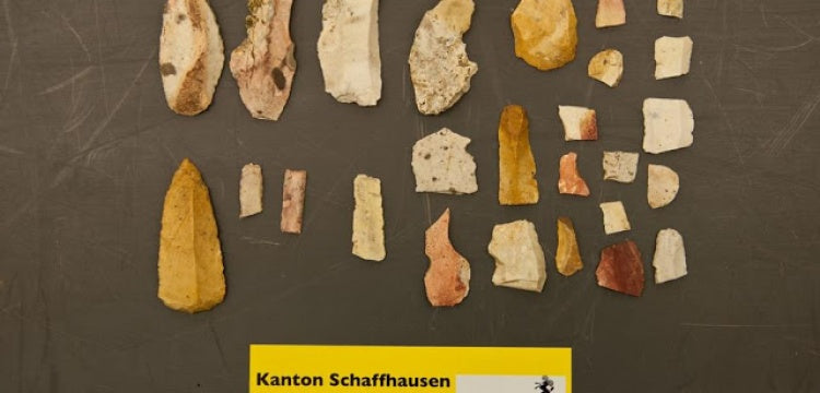Sökülen ağacın altından 12 bin yıllık aletler çıktı