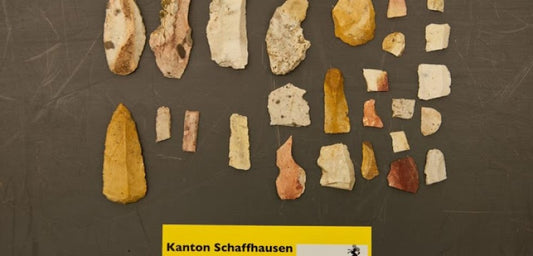 Sökülen ağacın altından 12 bin yıllık aletler çıktı