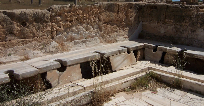 Roma’da Hamam ve Tuvaletlere Rağmen Hastalık Yayan Parazitler Artmış