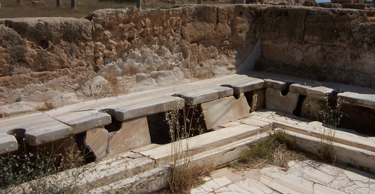 Roma’da Hamam ve Tuvaletlere Rağmen Hastalık Yayan Parazitler Artmış