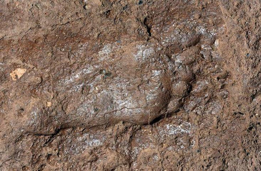 Van’da Urartulu Bir Çocuğun Ayak İzi Bulundu