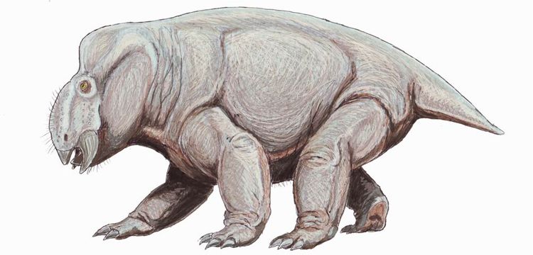 Dicynodont'un hayalet izlerinin gerçek olduğu anlaşıldı