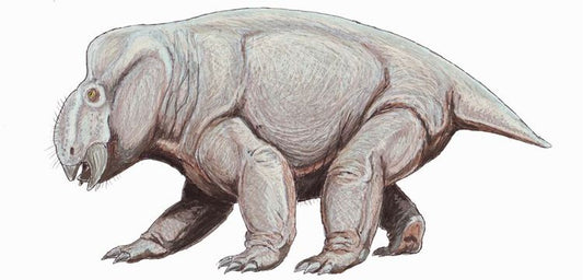 Dicynodont'un hayalet izlerinin gerçek olduğu anlaşıldı