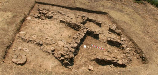 Gökçeada'da Çatalhöyük ve Göbekli Tepe'dekilere benzer figürler bulundu