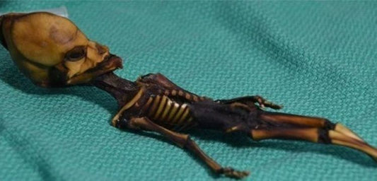 Mumyaların DNA analizi etik mi tartışması