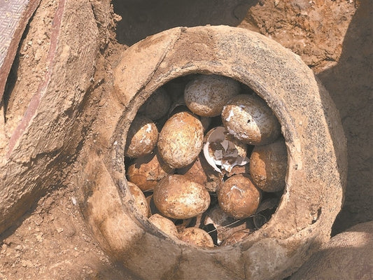 2.500 Yıllık Mezarda Kırılmamış Yumurtalar Bulundu