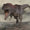 T. rex Gibi Minik Kolları Olan Dev Yırtıcı Dinozor Keşfedildi