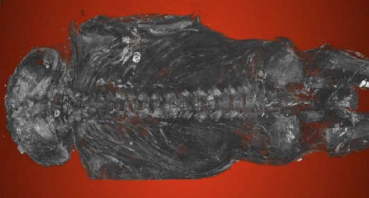 Şahin Olduğu Sanılan 2100 Yıllık Mumya Ölü Doğmuş Bebek Çıktı