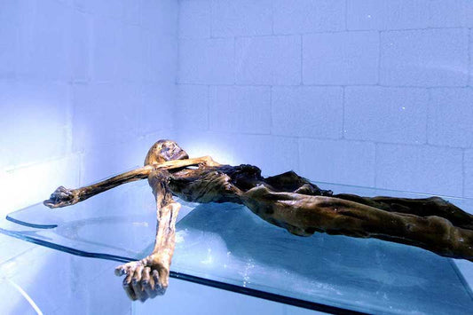 Ötzi Ölmeden Önce Araç Gereçleri Tükenmek Üzereydi