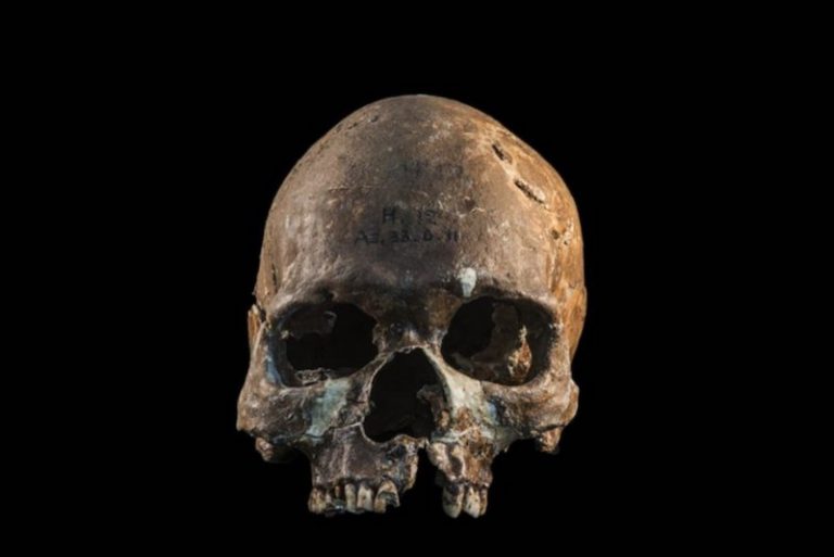 Güneydoğu Asya’nın Tarih Öncesi Tartışmaları Antik DNA ile Çözüldü