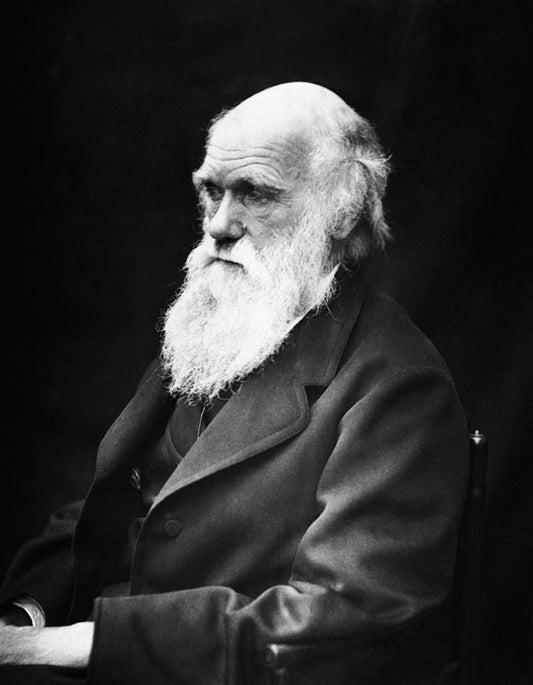 Darwin Günü’nüz Kutlu Olsun!