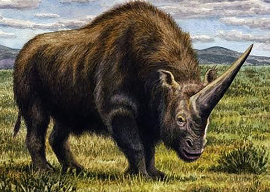 ‘Sibirya Unicorn’u 39.000 Yıl Önceye Kadar Yaşıyordu