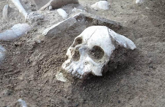 Şapinuva Örenyerinde Hititli Kadın İskeleti Bulundu