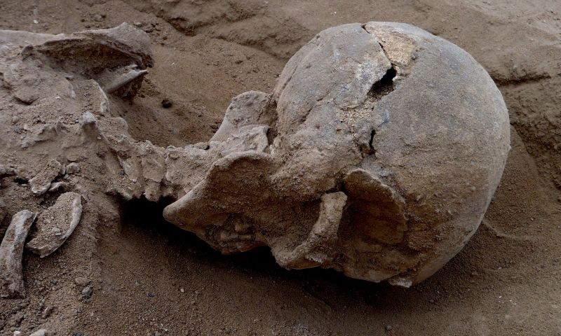 Kenya’da 10.000 Yıllık Bilinen En Eski Katliamın İzleri Bulundu