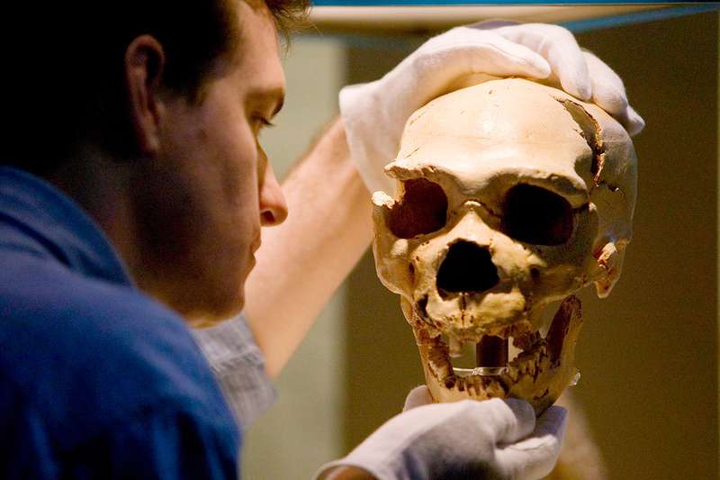 İspanya’da Modern İnsanlar Neandertallerin Yerini Çok Önce Almış