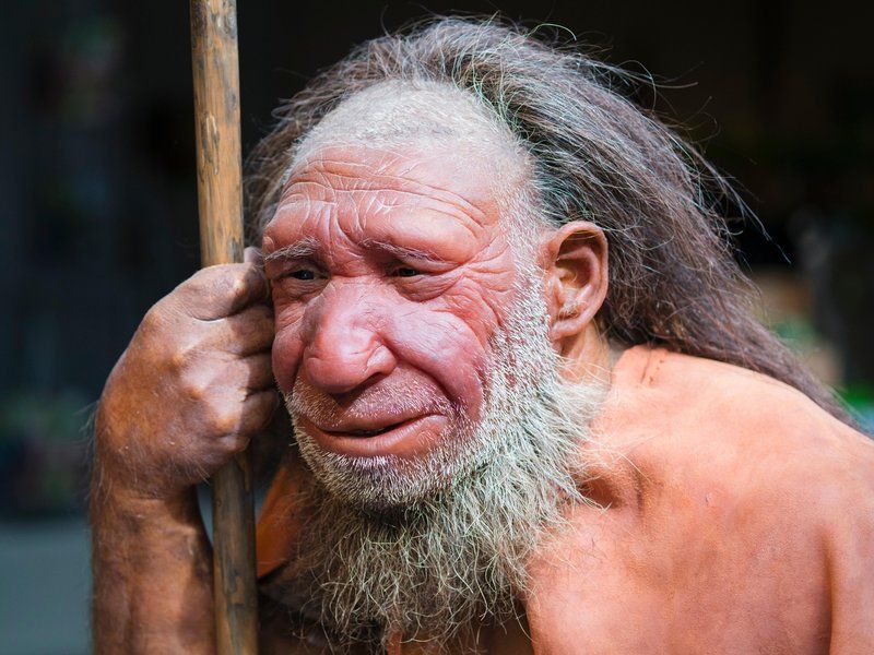 Bağışıklık Sistemimizi Neandertallere ve Denisovalılara Borçluyuz