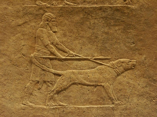 Arkeolojik Bulgularda En İlginç 8 Evcil Köpek Tasviri