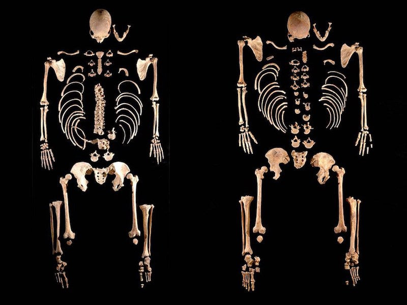 4500 Yıl Önce İspanya’daki Erkeklerin Genleri Yok Olmuş