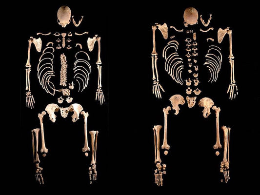 4500 Yıl Önce İspanya’daki Erkeklerin Genleri Yok Olmuş