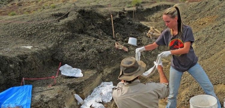 Dinozorları yok ettiği iddia edilen gök taşının parçası bulundu iddiası