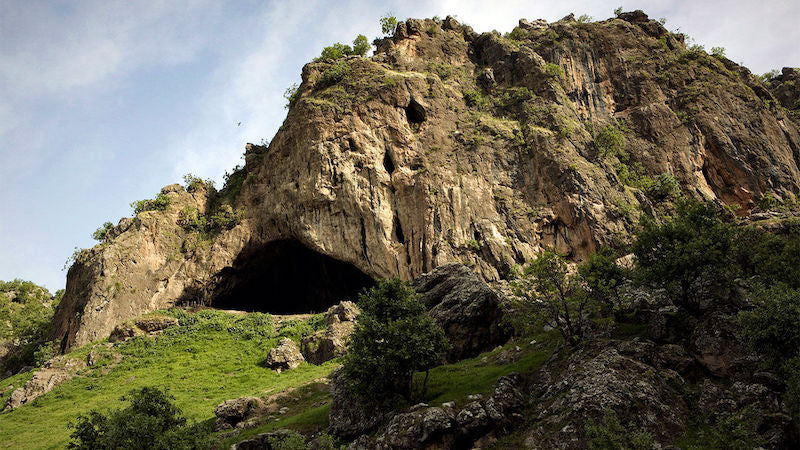 Çiçekli Neandertal Mezarında Yeni Kalıntılara Ulaşıldı