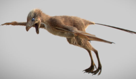 Yarasa Kanatlı Yeni Dinozor Türü Keşfedildi
