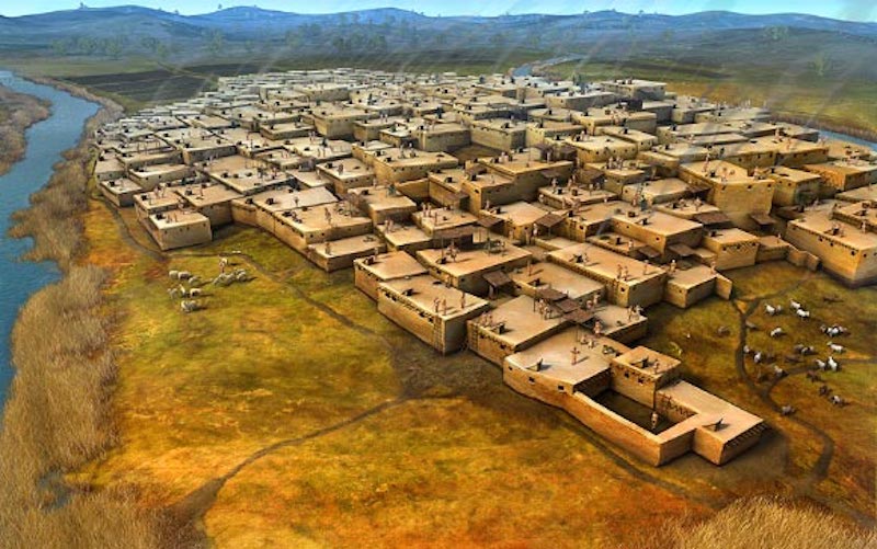 Çatalhöyük İnsanlarının Dışkısında Parazitler Bulundu