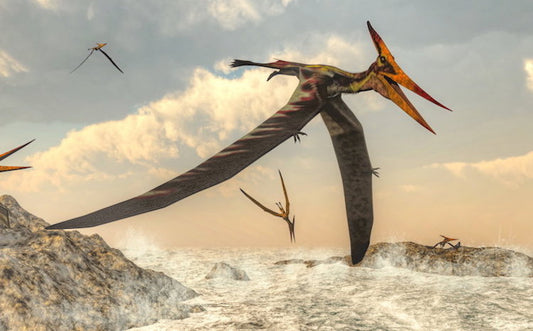 Pterozorlar Doğduktan Hemen Sonra Uçabiliyordu