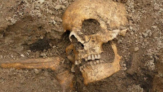 İsveç’te Sağlam Bir Viking Gemi Mezarı Bulundu