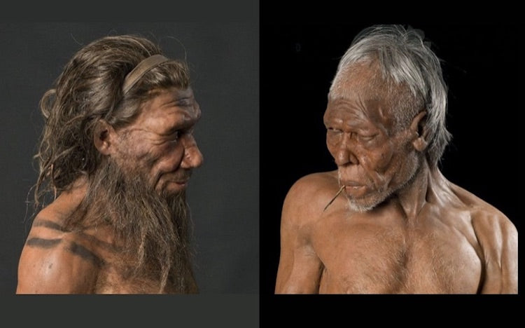 Neandertallerle Aynı Türden Miyiz?