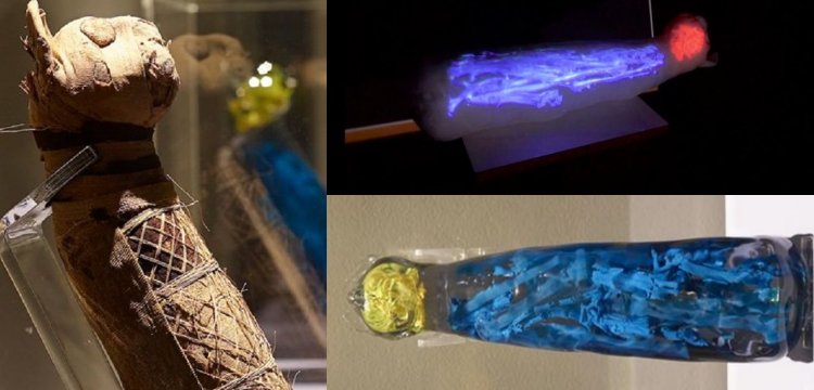 Antik Mısır kedi mumyasının içindekiler arkeologları şaşırttı